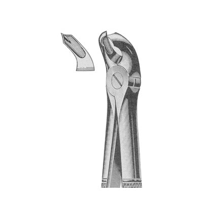 Extracting Forceps English Pattern