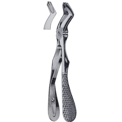 Tooth Extracting Forceps For Children's with Spring – Surgical Design Shop