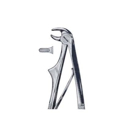 Tooth Extracting Forceps For Children's with Spring – Surgical Design Shop