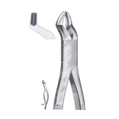 Tooth Extracting Forceps American Pattern