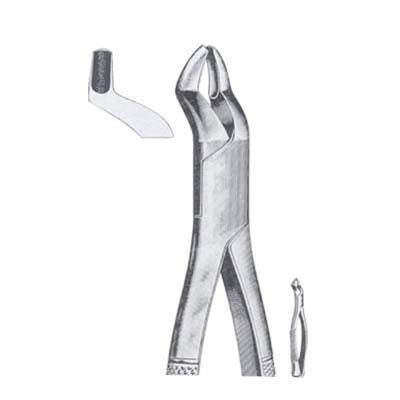 Tooth Extracting Forceps American Pattern