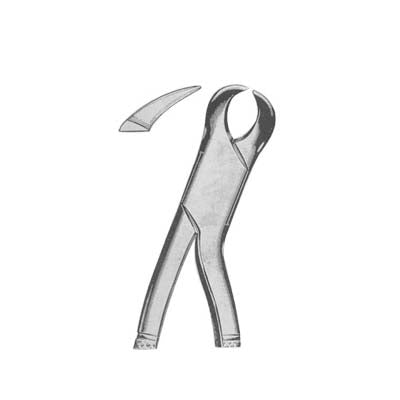 Tooth Extracting Forceps American Pattern