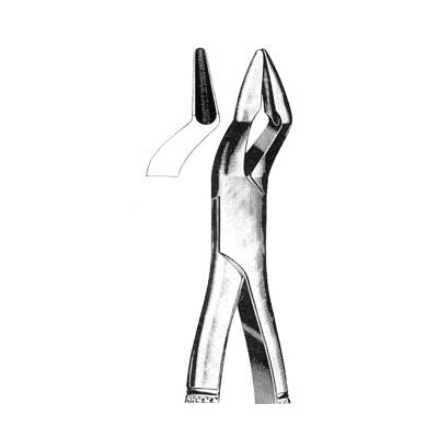 Tooth Extracting Forceps American Pattern