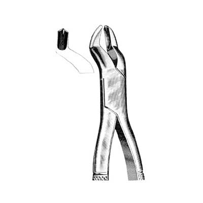 Tooth Extracting Forceps American Pattern