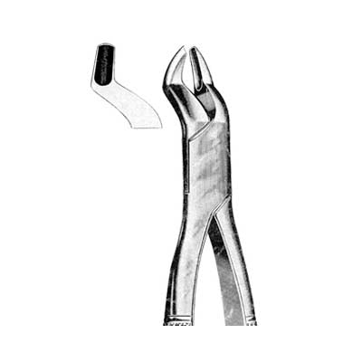 Tooth Extracting Forceps American Pattern