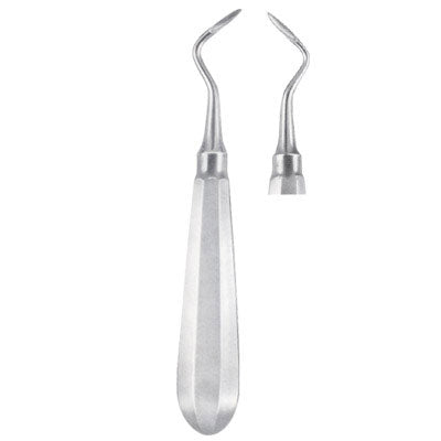 FLOHR Tooth Instruments