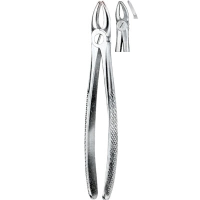 Tooth Forceps for dogd and other small animals