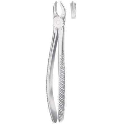 Tooth Forceps for dogs and other small animals