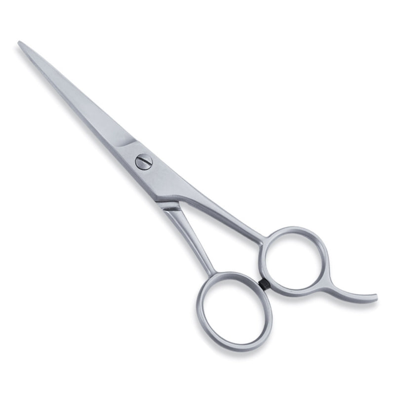 ECONOMY HAIR SCISSOR