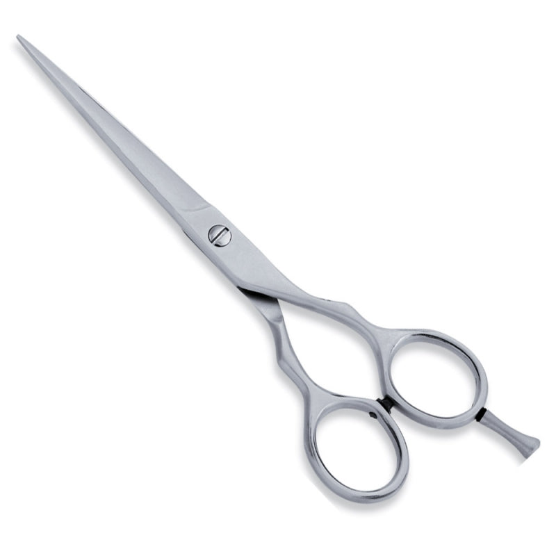 ECONOMY HAIR SCISSOR