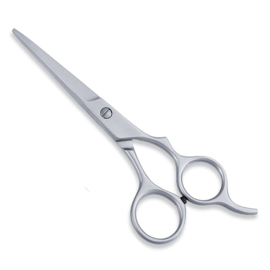 ECONOMY HAIR SCISSOR