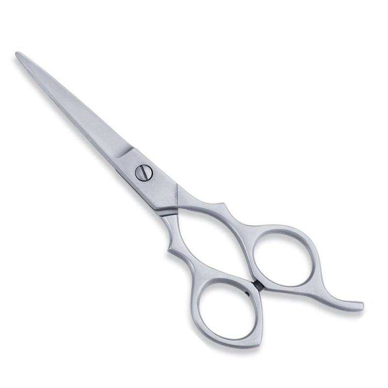 ECONOMY HAIR SCISSOR