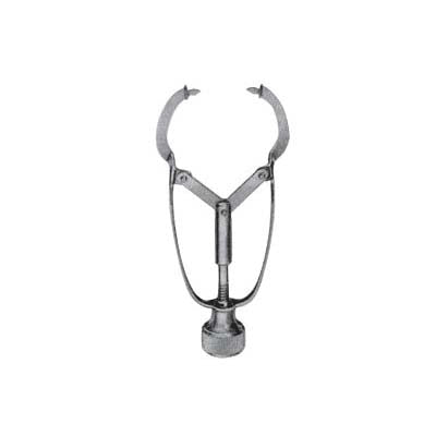 Ivory Matrix Retainers